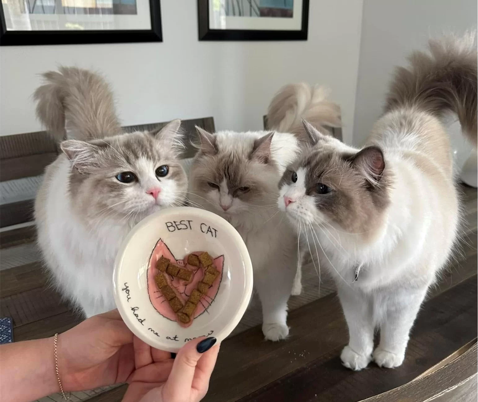 Ragroyalty Princess Lucy & Ragroyalty Prince Hugo & Ragroyalty Prince Leon